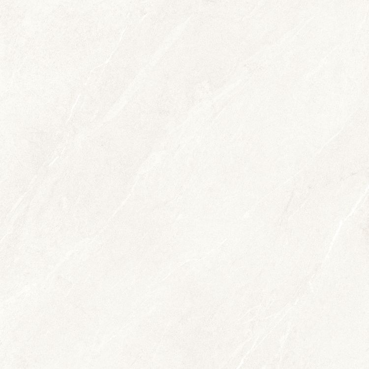 Dhara White Matte 48 x 48